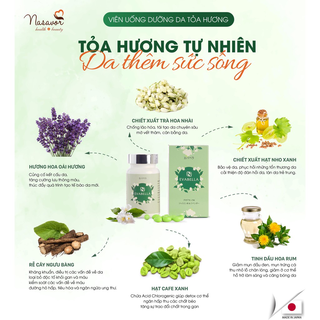 Viên Uống Detox Thải Độc Khử Mùi Chống Lão Hóa Evabella Giúp Da Trắng Đẹp Từ Bên Trong | BigBuy360 - bigbuy360.vn