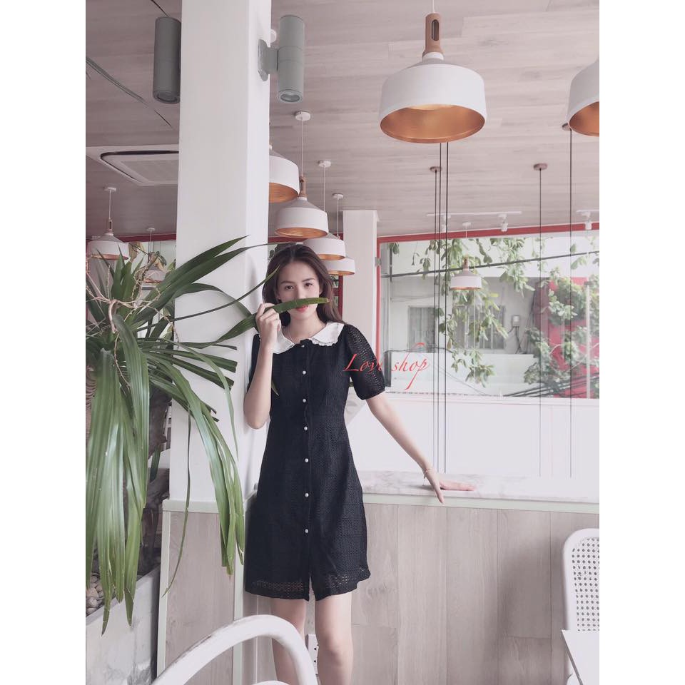 Đầm Ren cổ sen cúc ngọc tiểu thư xinh xắn