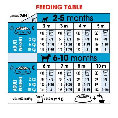 8kg,ROYAL CANIN MINI PUPPY Dành cho chó cỡ Mini  và đang trong giai đoạn Puppy từ 2 đến 10 tháng tuổi