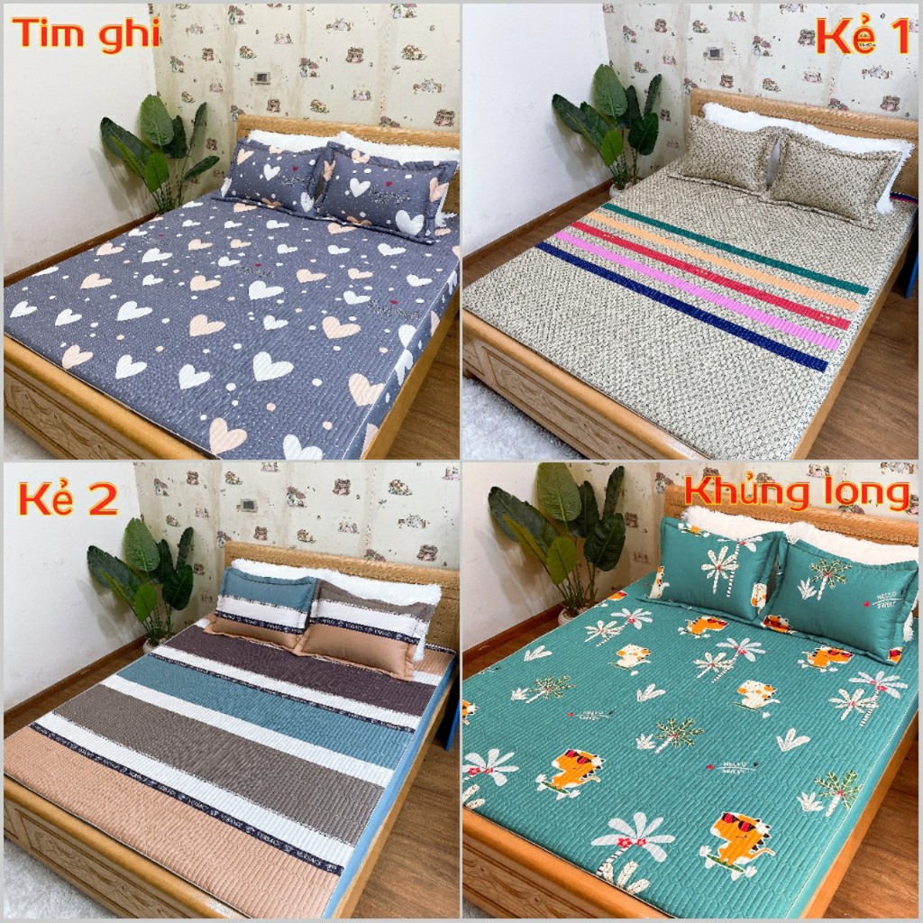 Bộ ga chun trần bông và 2 vỏ gối, ga giường cotton 100% đủ size nệm 1m2 1m4 1m6 1m8 2m2 Dreamhomedding | BigBuy360 - bigbuy360.vn