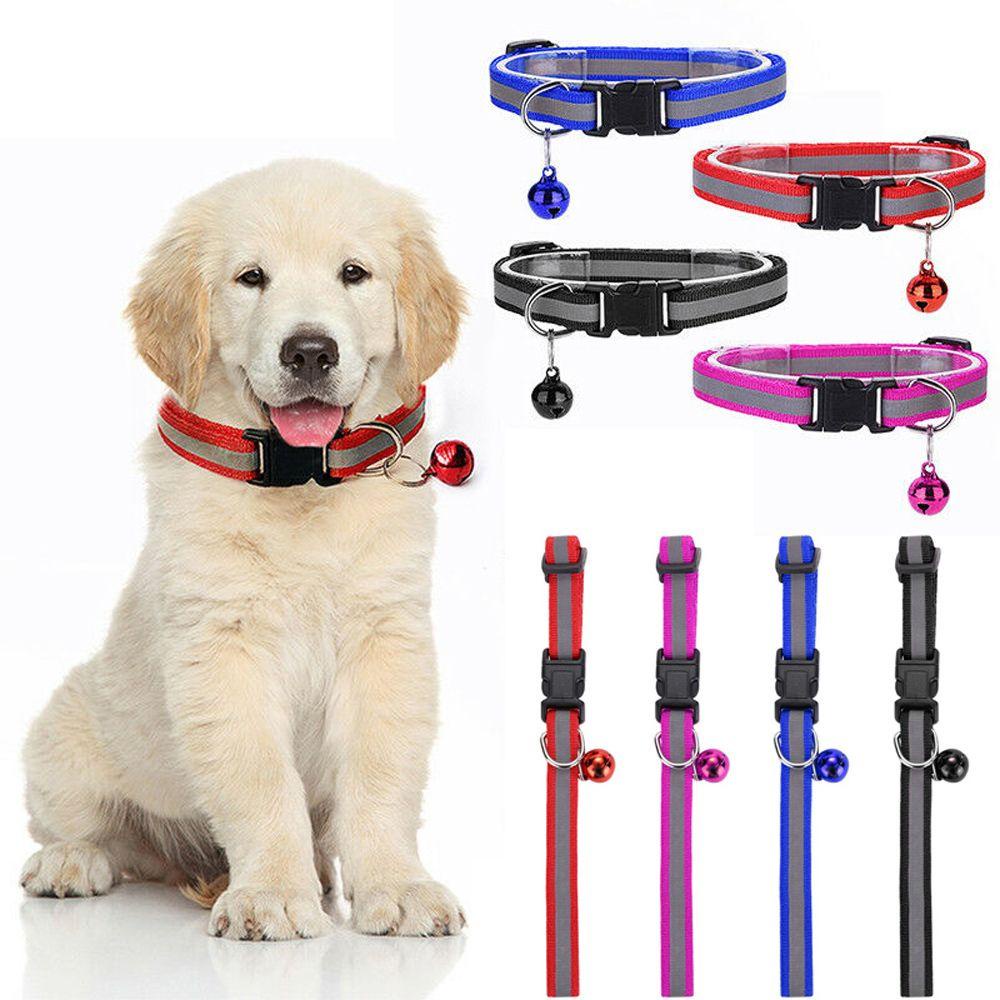 Vòng Cổ Nylon PháT SáNg Cho Thú Cưng LAYOR1