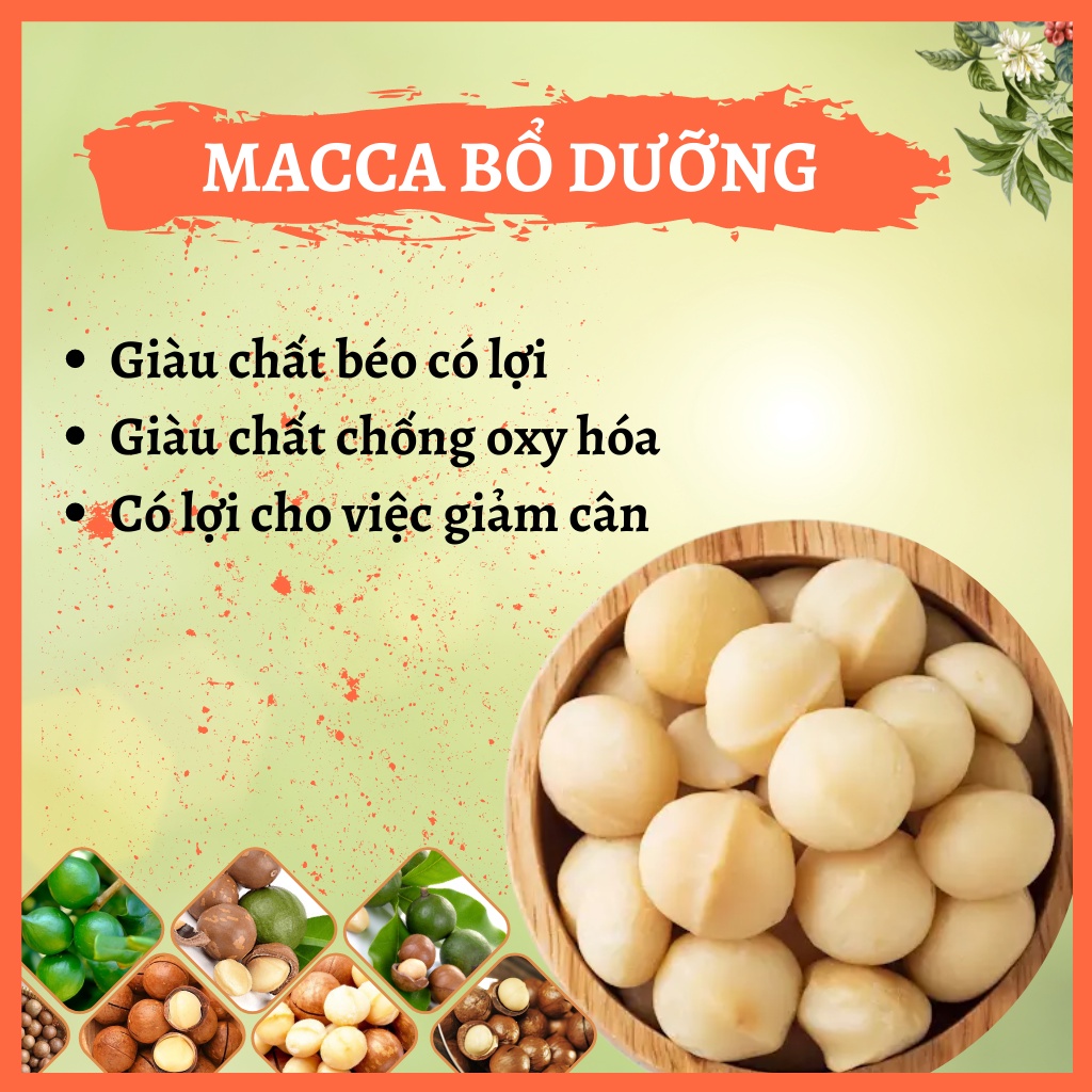 hạt macca nứt vỏ mắc ca Đăk Lăk sấy lạnh quả dễ tách giá tận xưởng giàu dinh dưỡng cho Mẹ Bầu hộp 500g từ GIỌT NẮNG