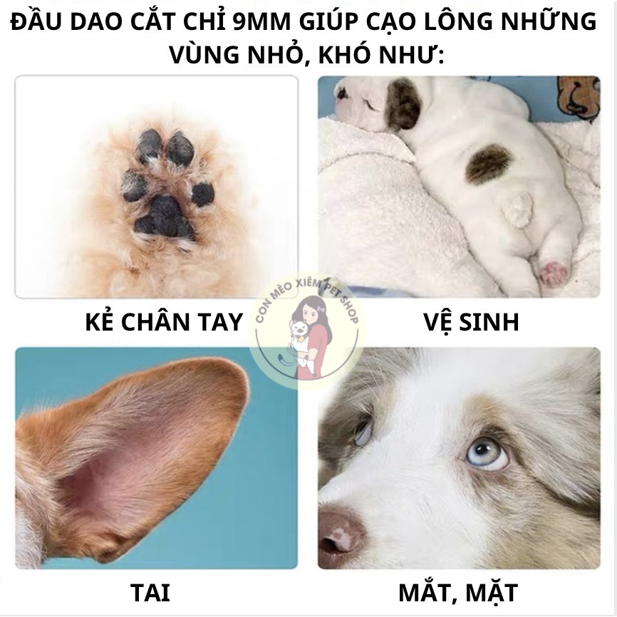 Tông đơ cho chó mèo cắt tỉa cạo lông bàn chân tay, tăng đơ grooming spa thú cưng Con Mèo Xiêm