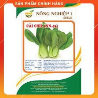 HẠT GIỐNG CẢI CHÍP CAO SẢN.