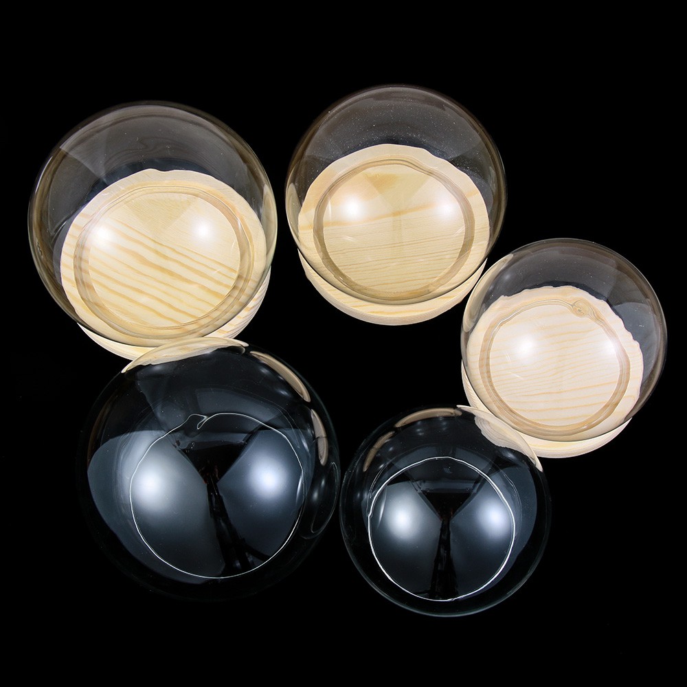 Lọ Thủy Tinh Trồng Cây Thủy Tinh Trong Suốt Đế Gỗ Hình Cầu Có Đèn Trưng Bày