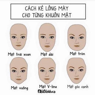 Khuôn Kẻ Lông Mày Wiker