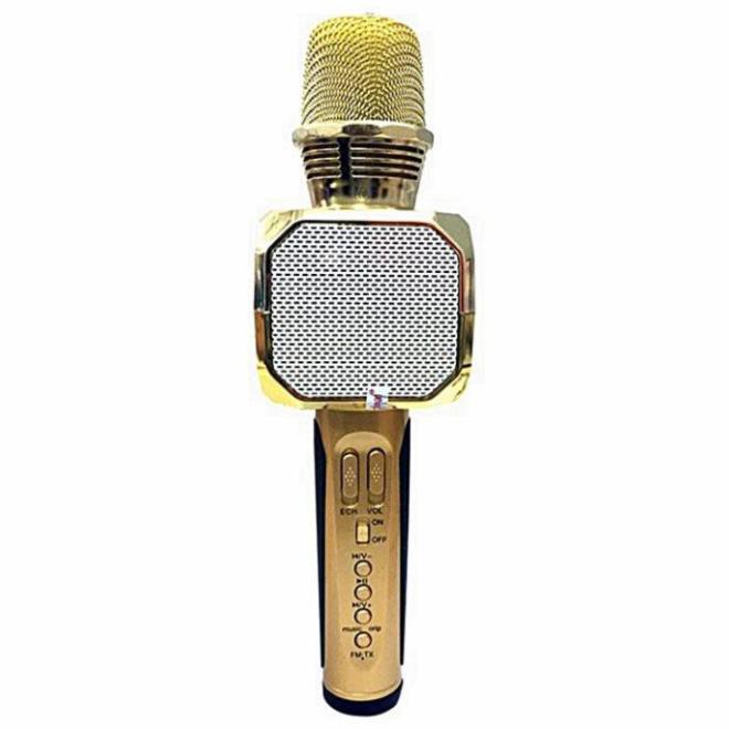 Micro karaoke bluetooth SD10 cực hay - chính hãng - BH 6 tháng - phiên bản 2020