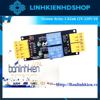 Module Relay 2 Kênh 5V10A , 12V10A 24V10A