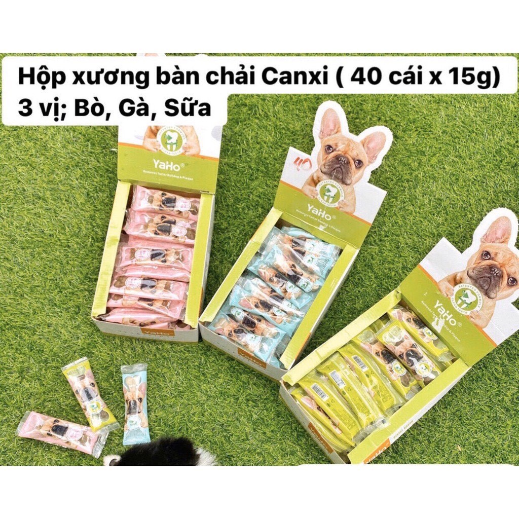 HỘP XƯƠNG BÀN CHẢI CANXI VỊ BÒ, SỮA, GÀ (15G x 40Pcs )