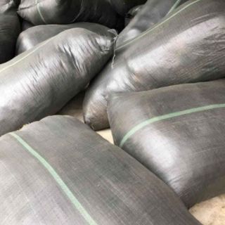 5 kg rêu rừng