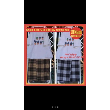 Sét áo phông chậu cây xương rồng+ quần kẻ | BigBuy360 - bigbuy360.vn