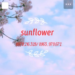 sunflowershop-1220