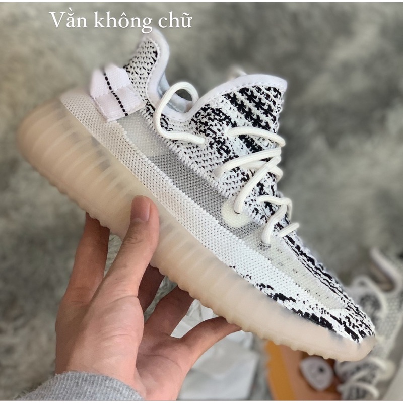 Giày Thể Thao Y350 Nhiều Màu