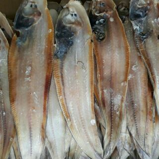 Khô cá lưỡi trâu hàng loại nhất