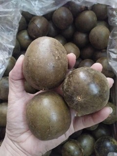 500g QUẢ LA HÁN, QUẢ TO, HÀNG CHUẨN