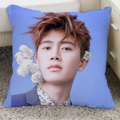 Gối IN HÌNH Nhậm Gia Luân gồm cả vỏ và ruột chất đẹp tiện lợi idol diễn viên cpop