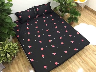 Combo set Ga Gối poly