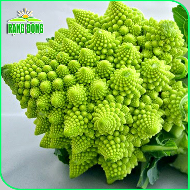 Hạt giống Bắp Cải - Bông Cải (Súp Lơ) sinh trưởng khỏe, Hạt giống rau củ quả trồng chậu - Hạt giống Rạng Đông