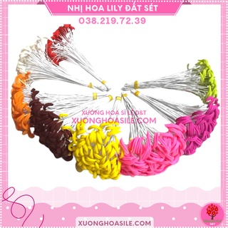 NHỊ HOA LY