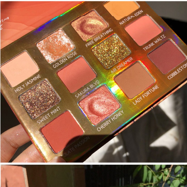 Bảng Mắt Nhũ Sweet Mint Enchanting Rose Hàng Nội Địa Trung | BigBuy360 - bigbuy360.vn