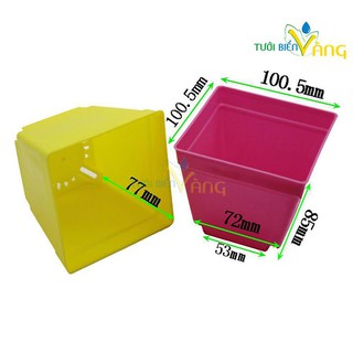 Chậu vuông trồng hoa, trồng cây cảnh