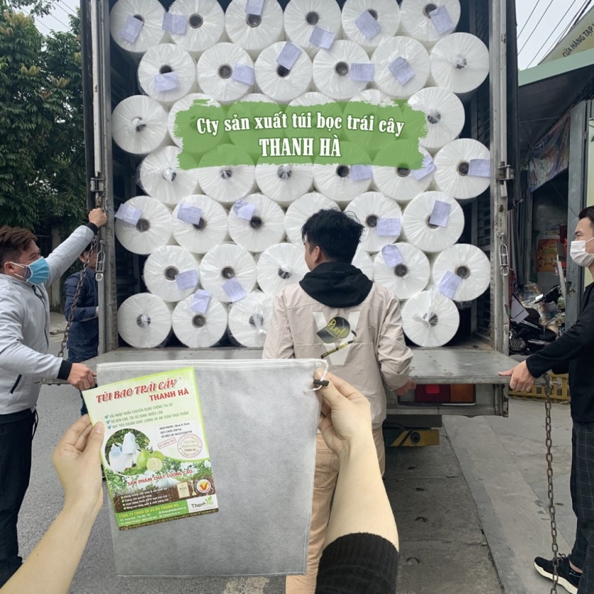 Bao trái cây, túi bọc trái cây Thanh Hà chất lượng cao kích thước 25x30cm - 100 cái