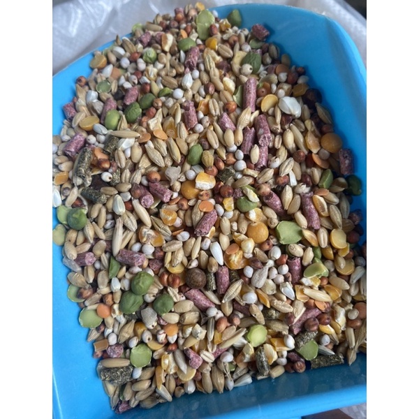 Ngũ cốc đạm Platinum dành cho gà đá (1kg) - Pet Food Store.