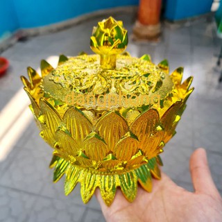 thỏi vàng sen làm gốc cây kim tiền