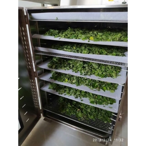 Bột chùm ngây đẹp da tốt cho sức khoẻ hộp 500g