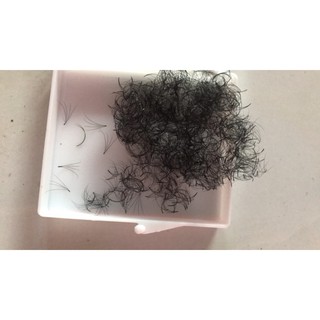 [Hộp 1000 gốc] Fan 4D chất mi đen xòe đều, chân keo thấp như ảnh đủ độ cong C CC D