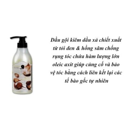 Dầu gội kiêm dầu xả chiết xuất từ tỏi đen & hồng sâm chống rụng tóc - 3W CLINIC More Moisture Black Garlic Shampoo 500ml