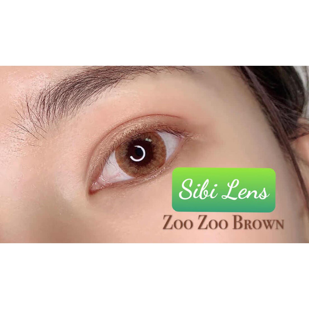 Lens Zoo Zoo brown - lens Chuẩn Thái  - Cam Kết Chính Hãng