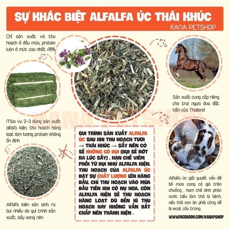 Cỏ Alfalfa FREESHIPCỏ Khô Alfalfa Úc Thức Ăn Cho Thỏ, Bọ, Chinchillas ...