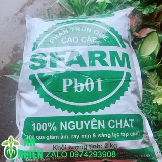 Phân Trùng Quế