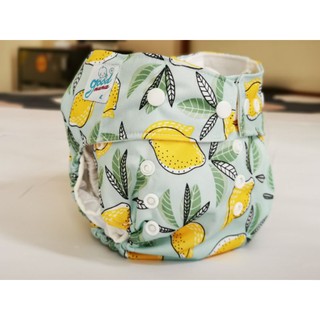 Bỉm vải Goodmama size M ban ngày