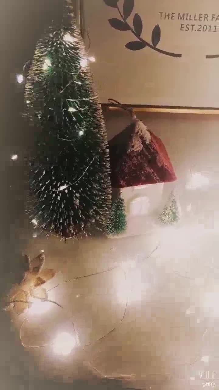 Dây đèn led trang trí fairylight đom đóm có sẵn pin dài 1m-2m-3m | BigBuy360 - bigbuy360.vn