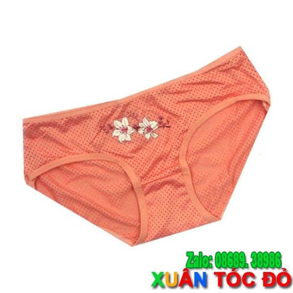 SỈ ZALO RẺ HƠN NHIỀU_ Quần Lót Thông Hơi Hoa Loa Kèn Rẻ Đẹp M068 | BigBuy360 - bigbuy360.vn