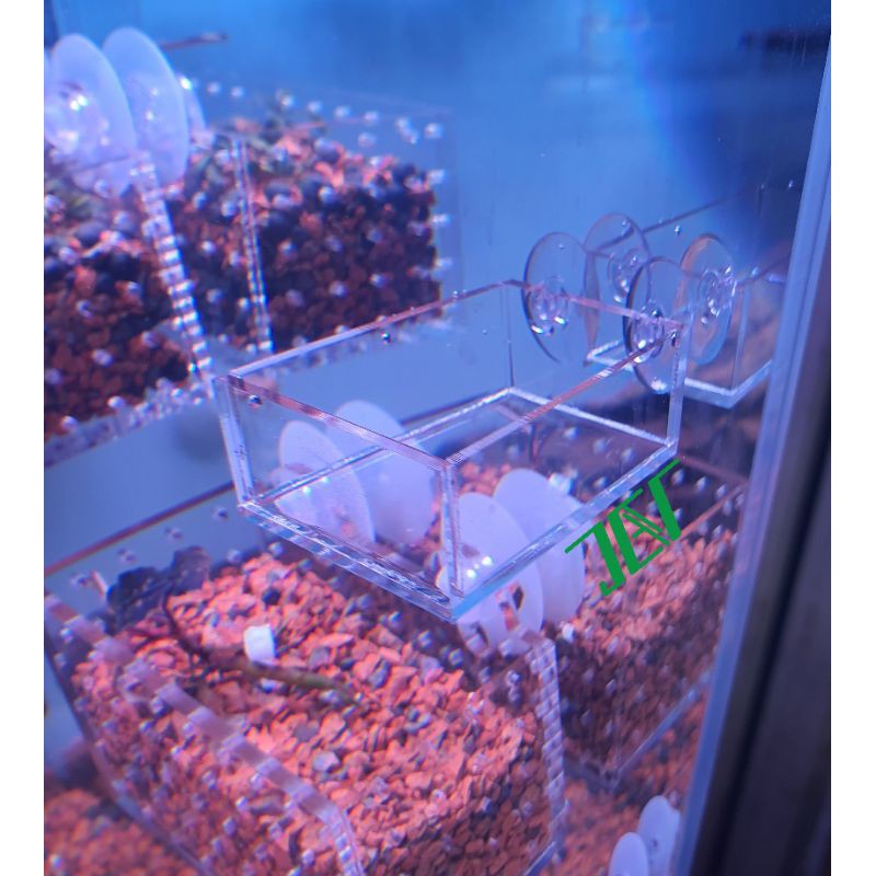 Chén cho cá, tép ăn JetA