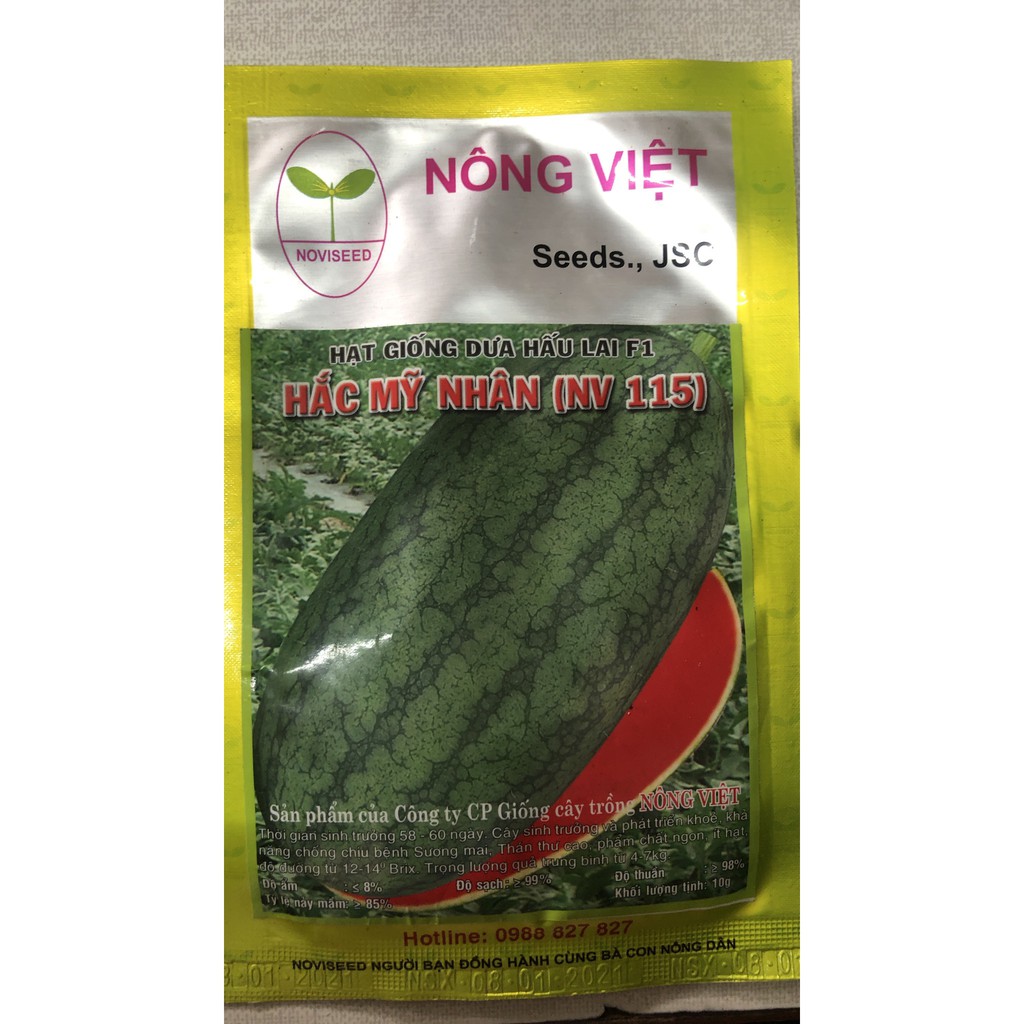 HẠT GIỐNG DƯA HẤU LAI F1 - HẮC MỸ NHÂN (NV 115)