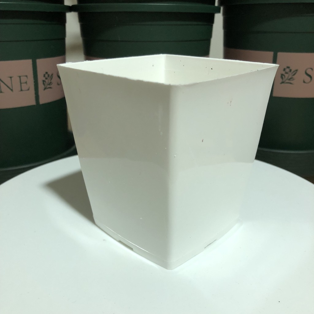 CHẬU TRỒNG SEN ĐÁ - CÂY CẢNH MINI, XƯƠNG RỒNG, BONSAI BẰNG NHỰA