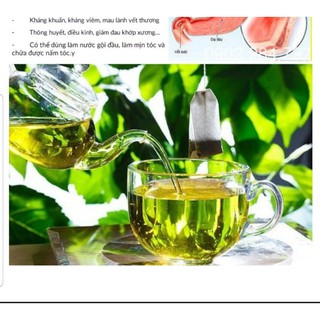 Trà lá Dung Vân Canh – Bình Định