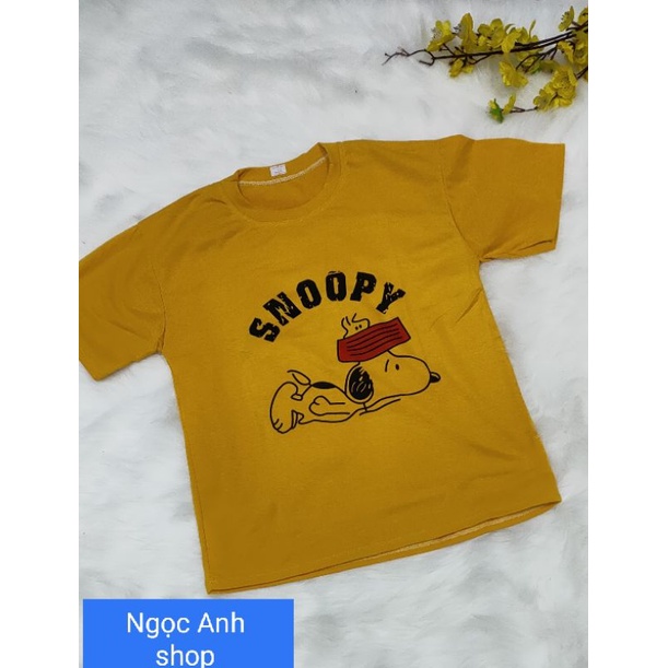 Áo phông nam / nữ