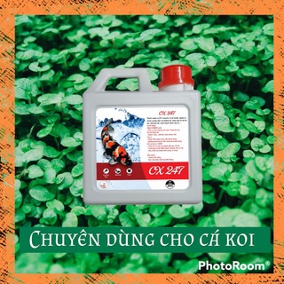 Cx247 trị nấm da, nấm thủy mi, đỏ mình, thuối vây 500ml
