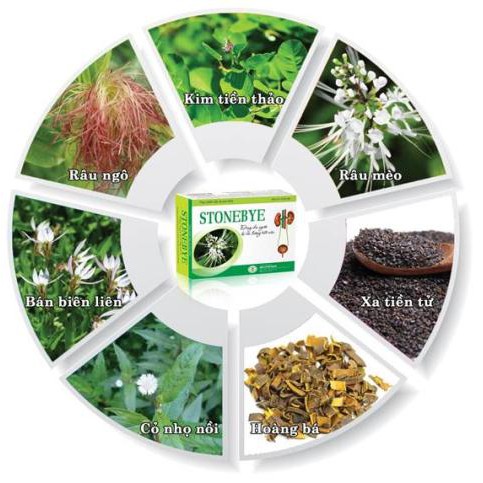 Stonebye – Hỗ trợ điều trị sỏi thận (Hộp 30 viên)