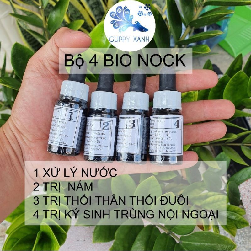 Bộ sản phẩm Bio nock- Sản phẩm hỗ trợ cá cảnh- Made In Thái Lan - Guppy Xanh