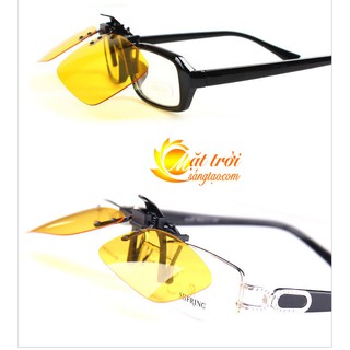 Mắt kính phân cực BERTHA