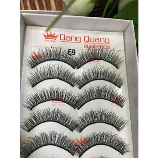 Mi Đăng Quang dòng 3D mã E