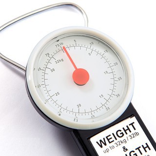 Cân Hành Lý 32Kg
