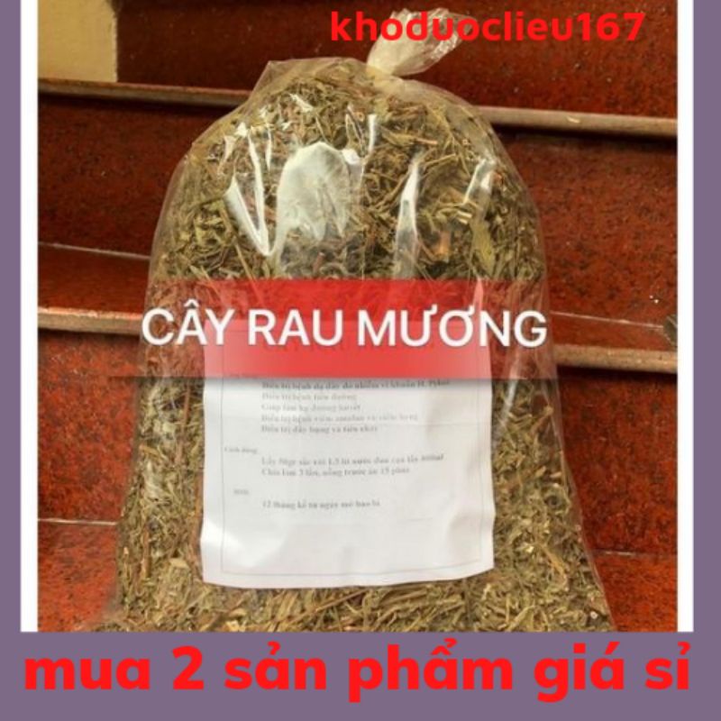 1 kg Cây Rau Mương (hỗ trợ dạ dày .đại tràng.nhiễm vi khuẩn HP)