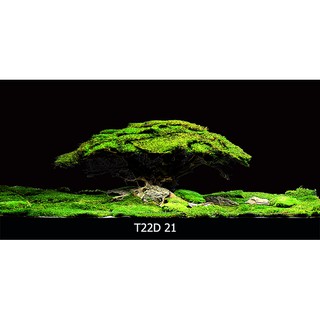 Tranh 3d bể cá t22d-021 kt